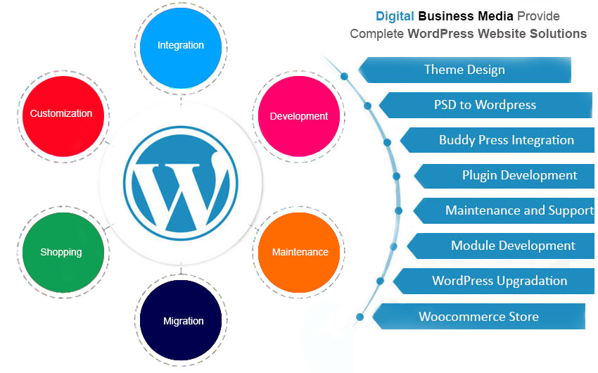 Digital Business Media Provide Complete Wordpress Website Solutions